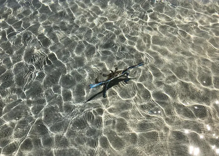 Peppermint Grove Beach Holiday Park